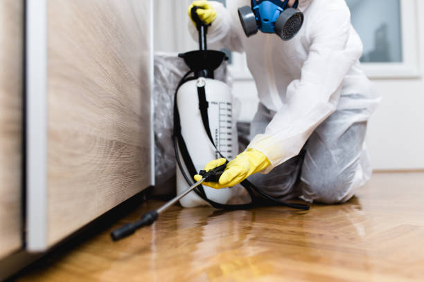 Best Exterminator Services  in Rockdale, IL