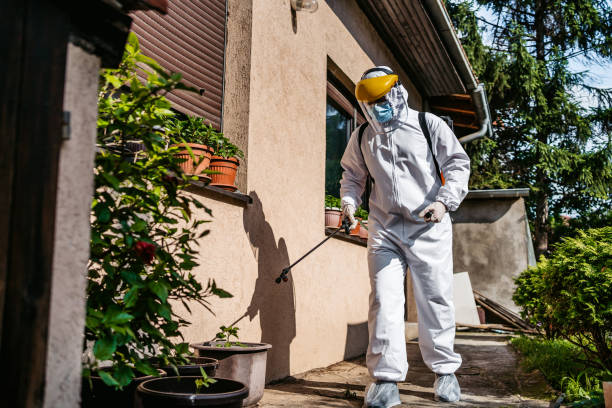 Bird Control in Rockdale, IL