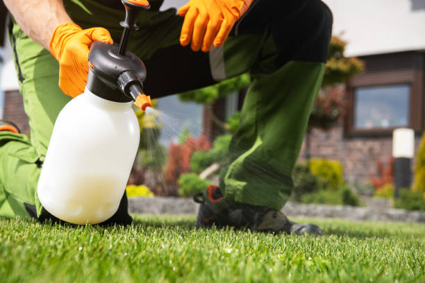 Best Pest Control Near Me  in Rockdale, IL