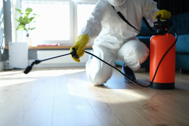 Best Affordable Pest Control Services  in Rockdale, IL