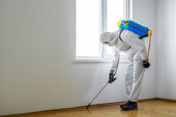 Best Ant Control Services  in Rockdale, IL