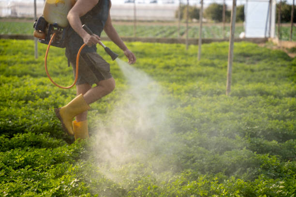 Best Pest Inspection Near Me  in Rockdale, IL