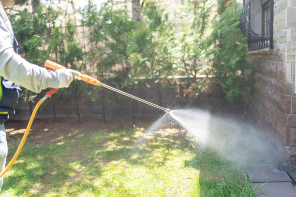 Best Local Pest Control Services  in Rockdale, IL