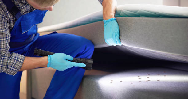 Best Cockroach Control Services  in Rockdale, IL