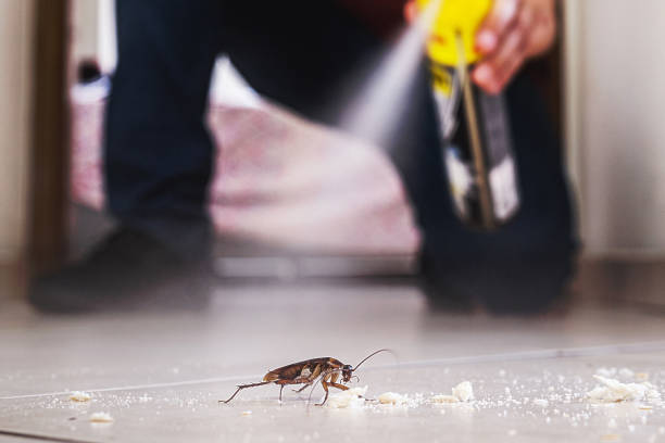 Rockdale, IL Pest Control Company