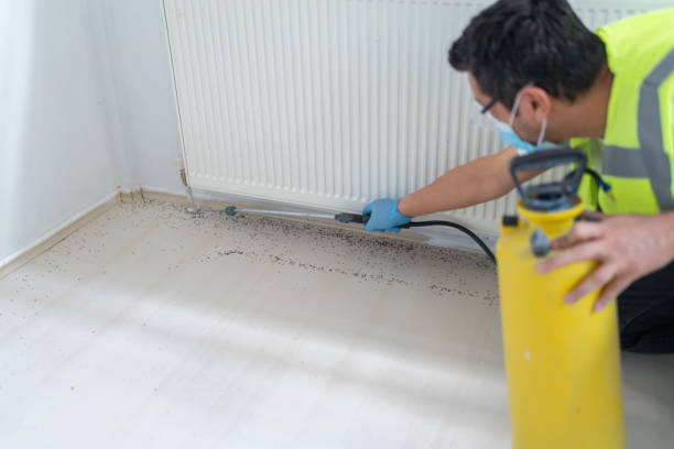 Best Emergency Pest Control  in Rockdale, IL