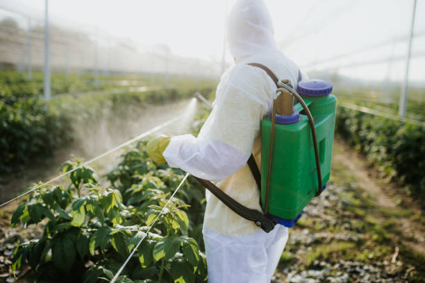 Best Affordable Pest Control Services  in Rockdale, IL